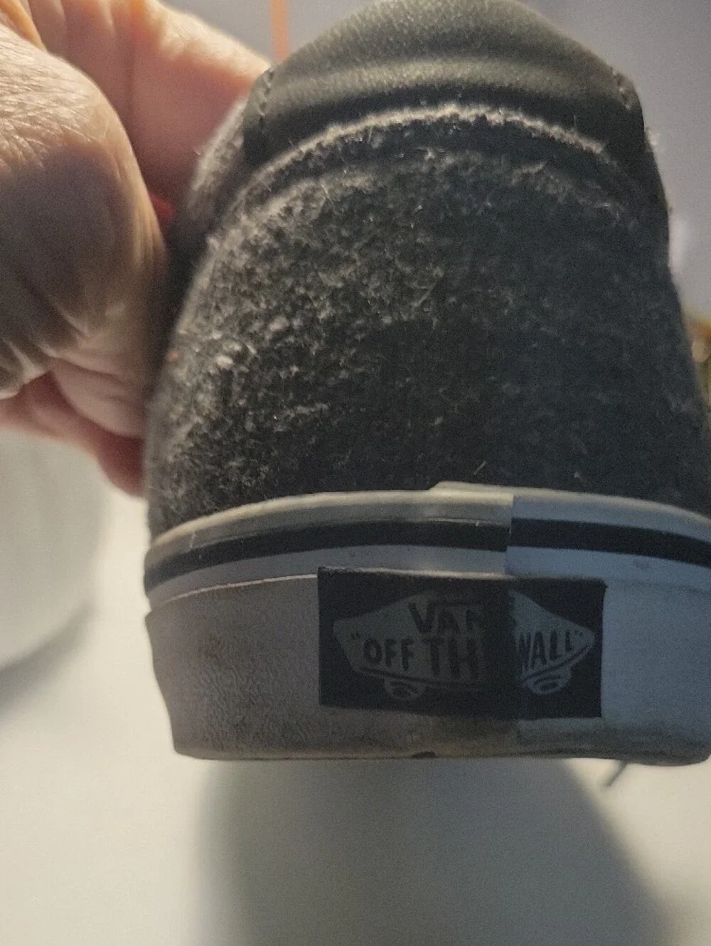 Vans Black Low-Top Skate Shoes